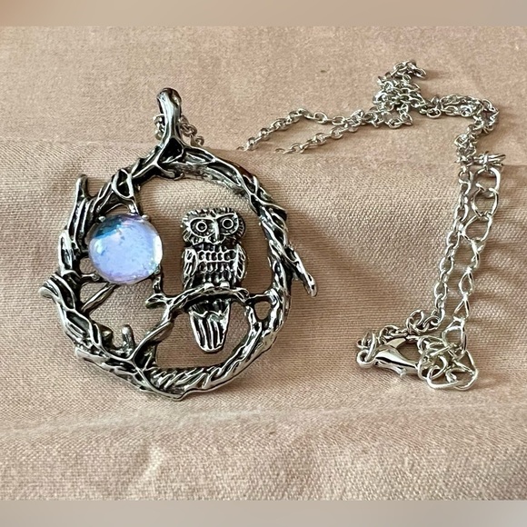 Jewelry - Beautiful Owl Necklace 22” BN